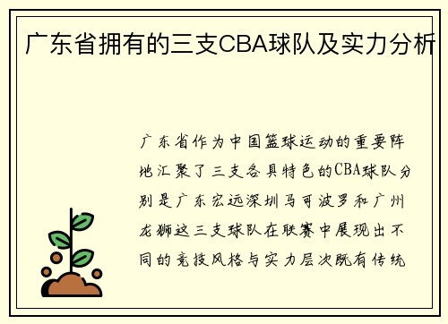 广东省拥有的三支CBA球队及实力分析